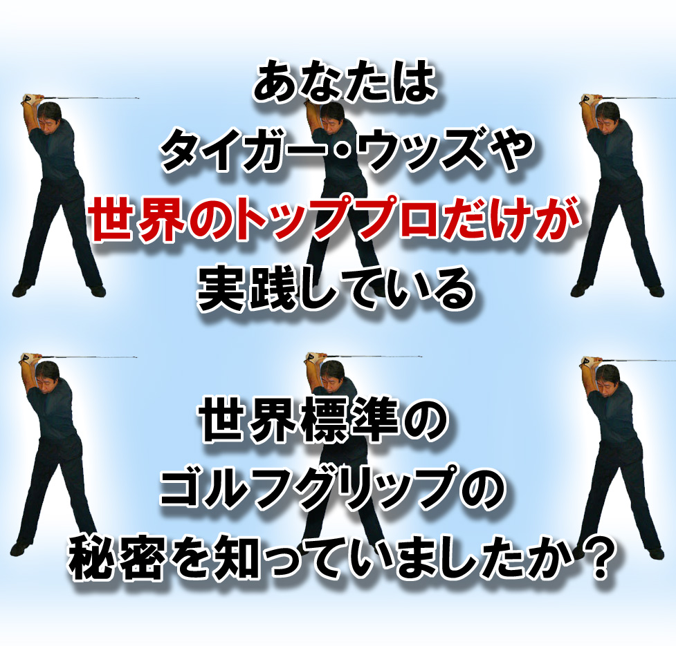 �S���t��B�@�S���t�X�C���O�A���ʐ^